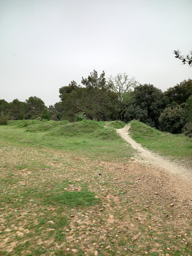 Plateau de la Crau Gallery - France