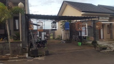 pet-store