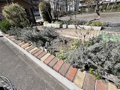 亀七南ガーデンクラブ（江東区コミュニティガーデン）