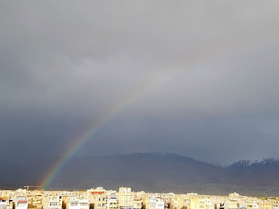 Photos of بوستان ارغوان