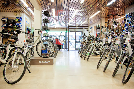 Vélo Horizon Angers - Thumbnail