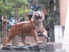 Nazimabad City Park faisalabad