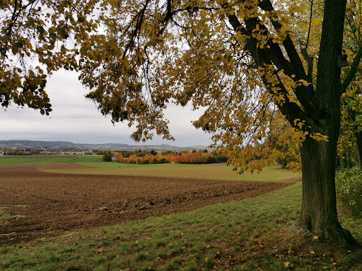 Marienhöhe - Visual