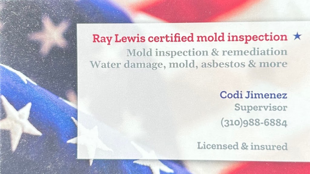 Ray Lewis Certified Mold Inspection photo