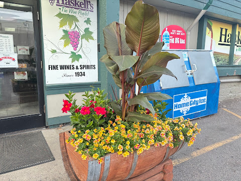 Haskell's Port of Excelsior by null