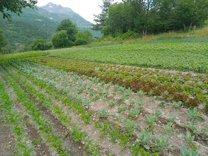 Photo n°18 de Les Jardins de Florette à Les Vigneaux (Ferme bio)