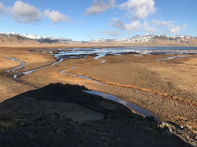 Photos of Dryholaus