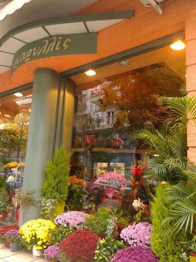 Photos of Teligiannidou Aikaterini