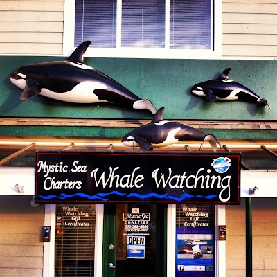 Photos of Mystic Sea Charters