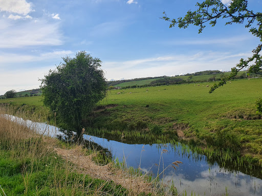 Ferryfields Caravan Park - Visual