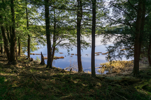 Sylvania Wilderness Gallery - United States