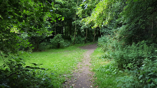 King George Playing Fields Parking - Thumbnail