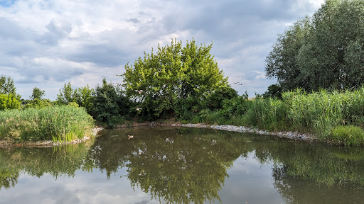 Kanalsofa mit Seeblick - Thumbnail