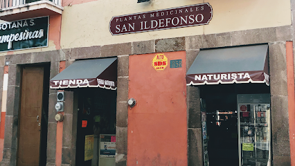 Plantas Medicinales San Ildefonso
