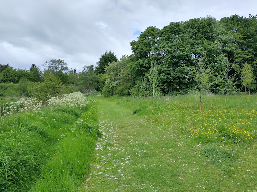 Cow Brae