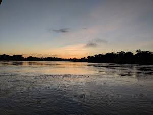 Tambopata Jungle Tours Peru 8