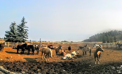 Photos of Lost Creek Ranch & Spa