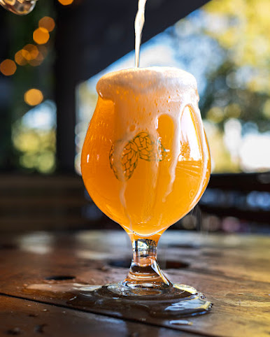 Hop Nuts Brewing by null