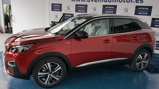 Avenida Motor - Visual