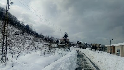 Photos of Arsin Stadyumu