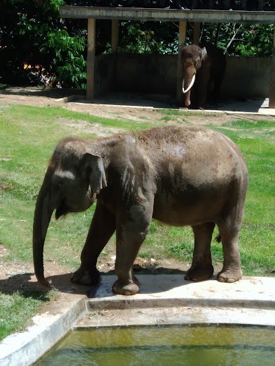Photos of Kinantan Zoo