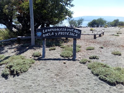 Photos of Caba&ntilde;a Bah&iacute;a de Los Sue&ntilde;os