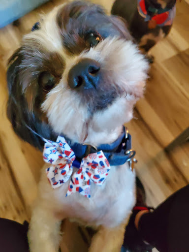 Meme's Grooming Spa - Thumbnail