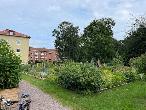 Burås park Gallery - Sweden