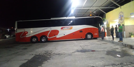 Ecobus - Visual