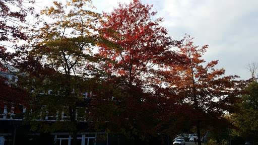 Syke Herrlichkeit