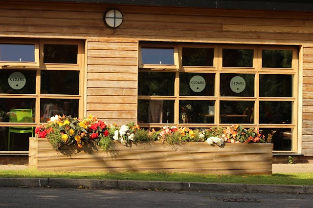 Bryngarw Country Park