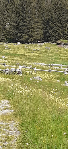 Alpe Sasso Bisolo - Thumbnail