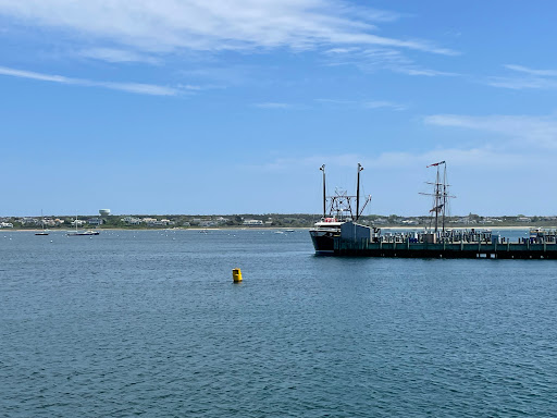 Steamship Authority Gallery - United States