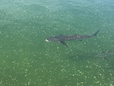 Florida Oceanographic Coastal Center