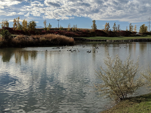 Springwater Park - Visual