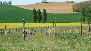 Photo n°1 de Ferme de Romane, EARL de Plaisance à Saint-Puy (Ferme bio)