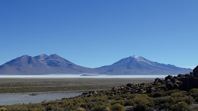 Photos of Las Vicu&ntilde;as National Reserve