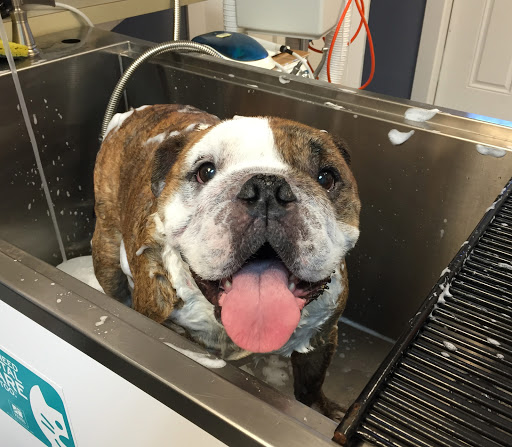 Allendale Veterinary Hospital Gallery - United States