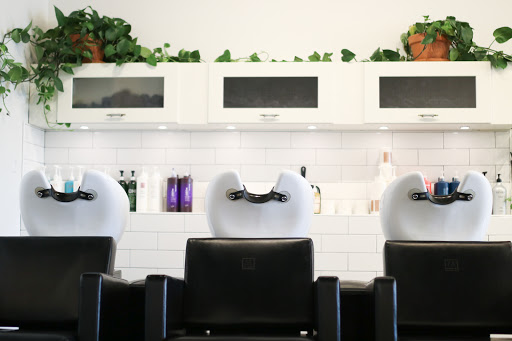Emerald Collective Salon - Thumbnail