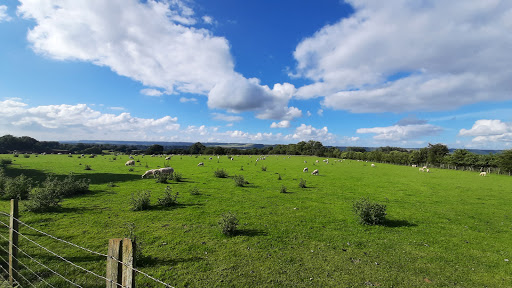 Belks farm