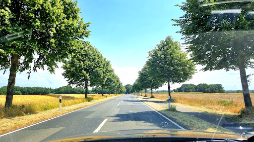 Kirchseelte Mühle - Thumbnail