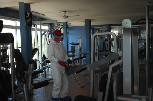 Seicop Control de Plagas