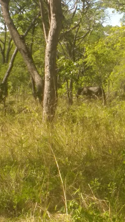 Photos of Nkhotakota Wildlife Reserve