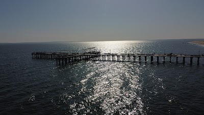 Coney Island Boardwalk Garden