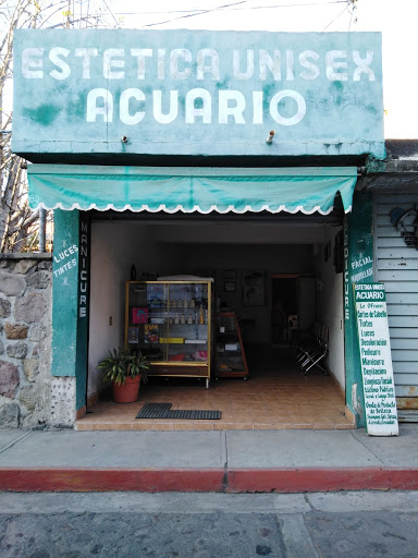 Estitica Acuario