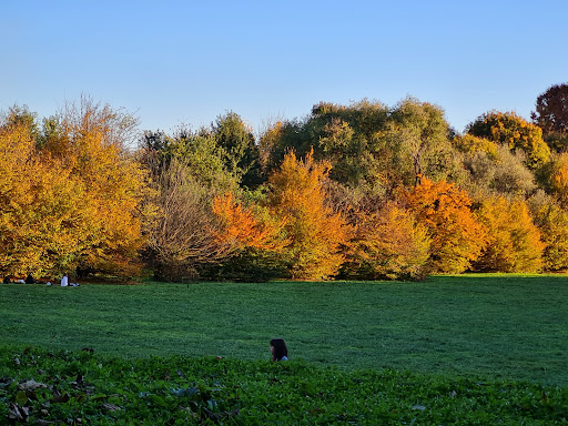 Parco Lura - parco urbano di Saronno - Thumbnail