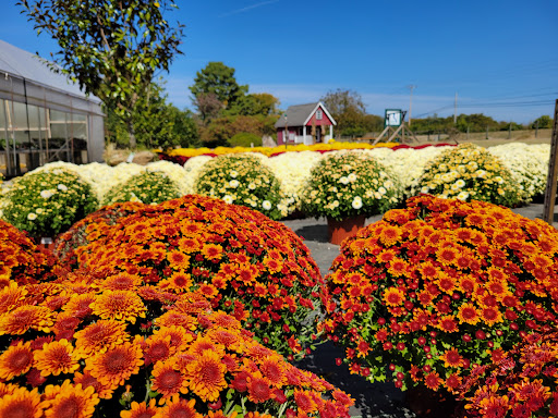 Riverbend Nurseries - Thumbnail