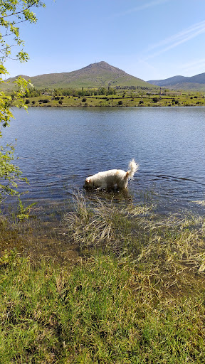 Presa del Ponton Alto - Thumbnail