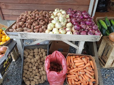 Photos of Provisiones y Fruter&iacute;a T&iacute;o Pedro