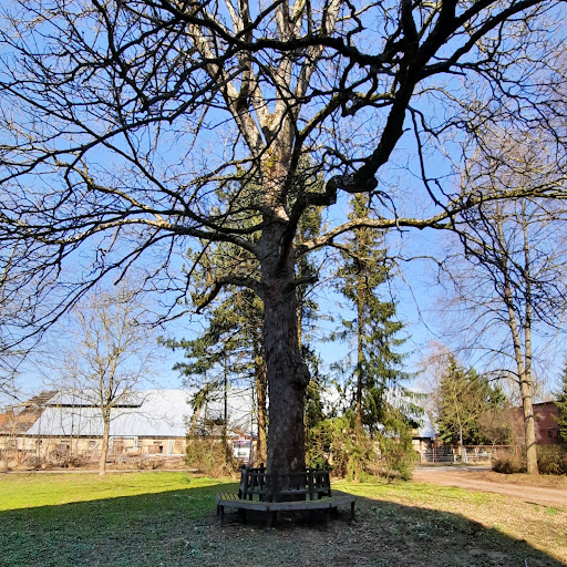 Burg Süpplingenburg - Thumbnail